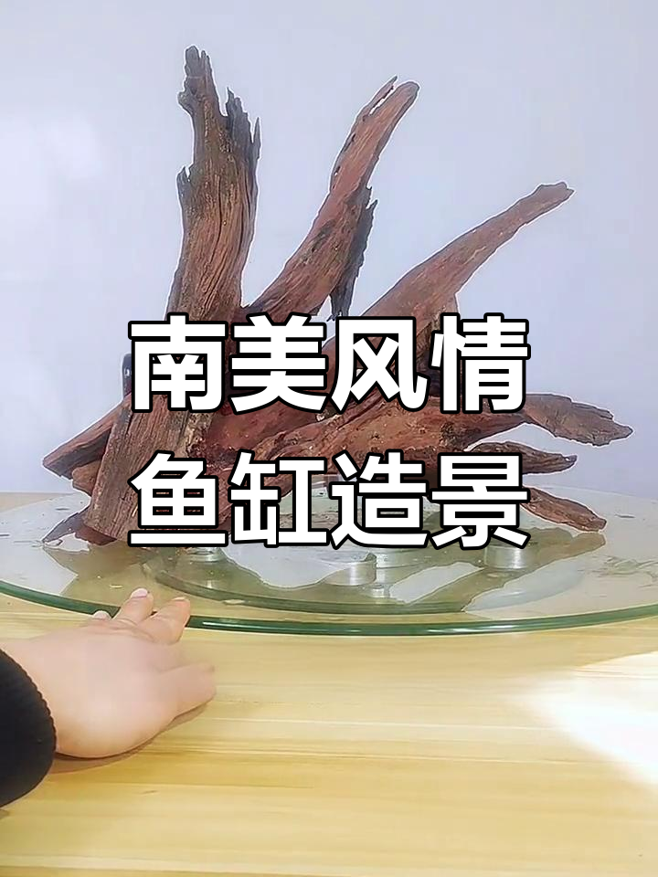 鱼缸造景基础结构,南美风格打造热带景观