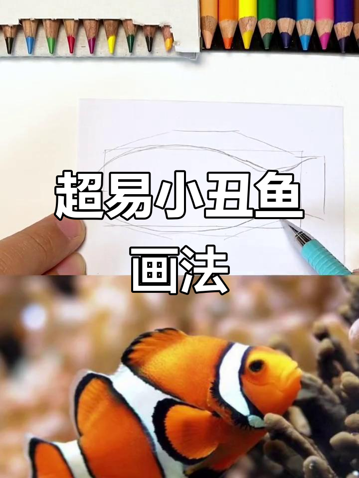 小丑鱼画法大揭秘,简单又有趣!