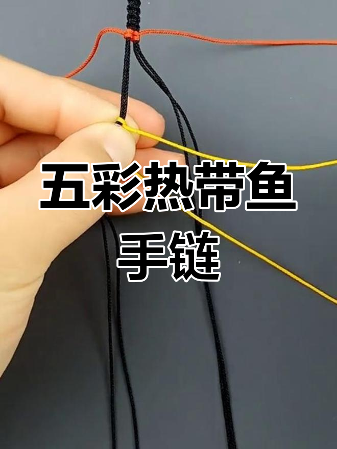 这款五彩热带鱼手链,精致可爱,超喜欢!