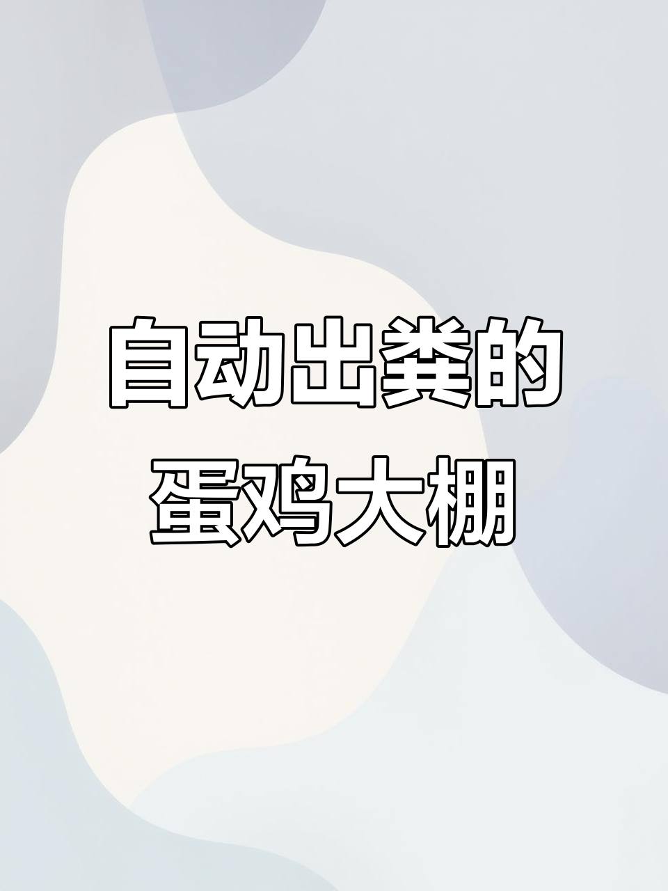 全自动化蛋鸡养殖,自动清粪系统让管理更高效
