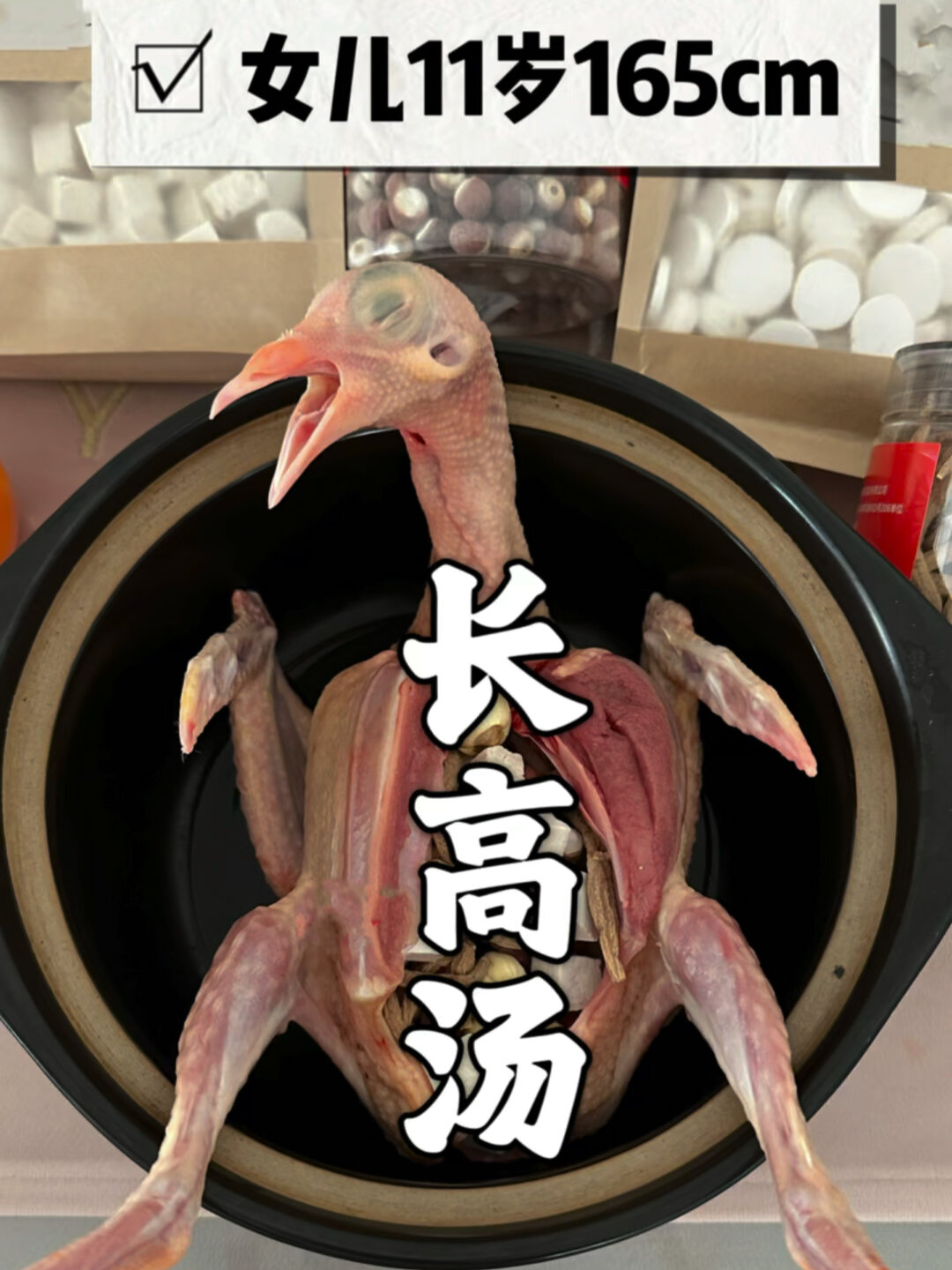 儿童鸽子长高汤,猛长期必备
