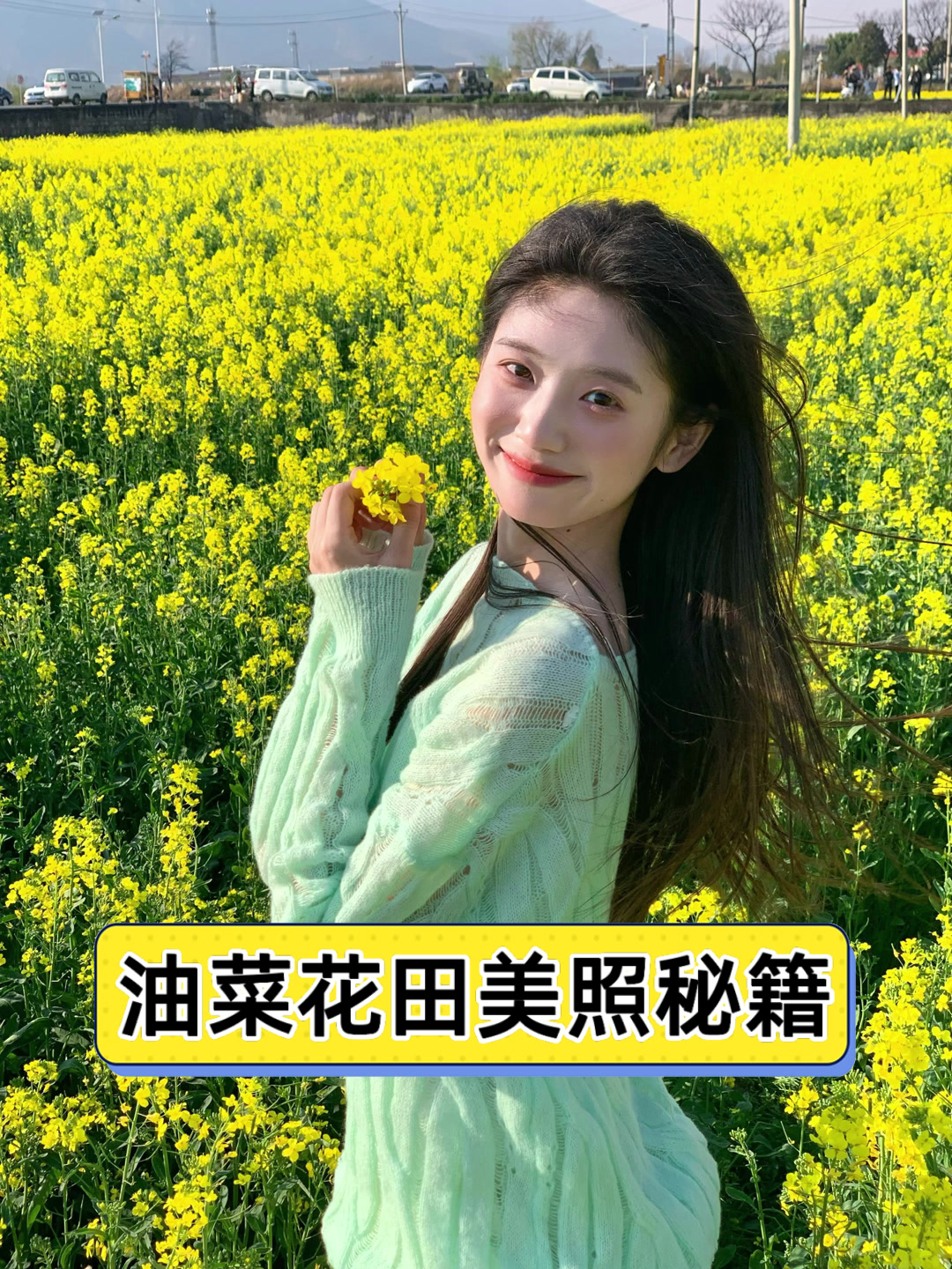 油菜花田美照秘籍