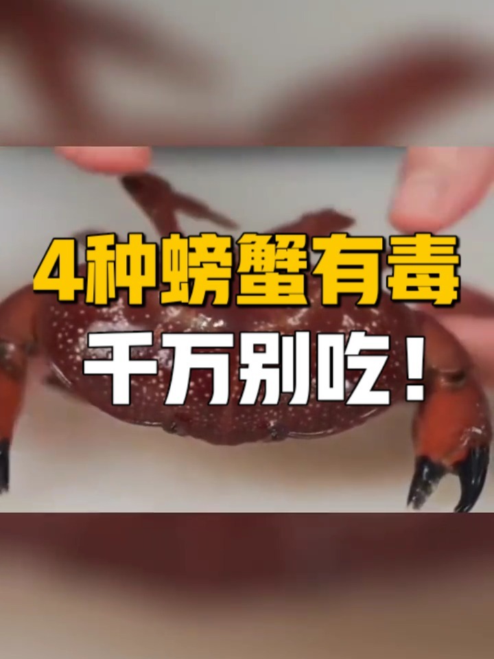 这4种螃蟹有毒,千万别贪吃!