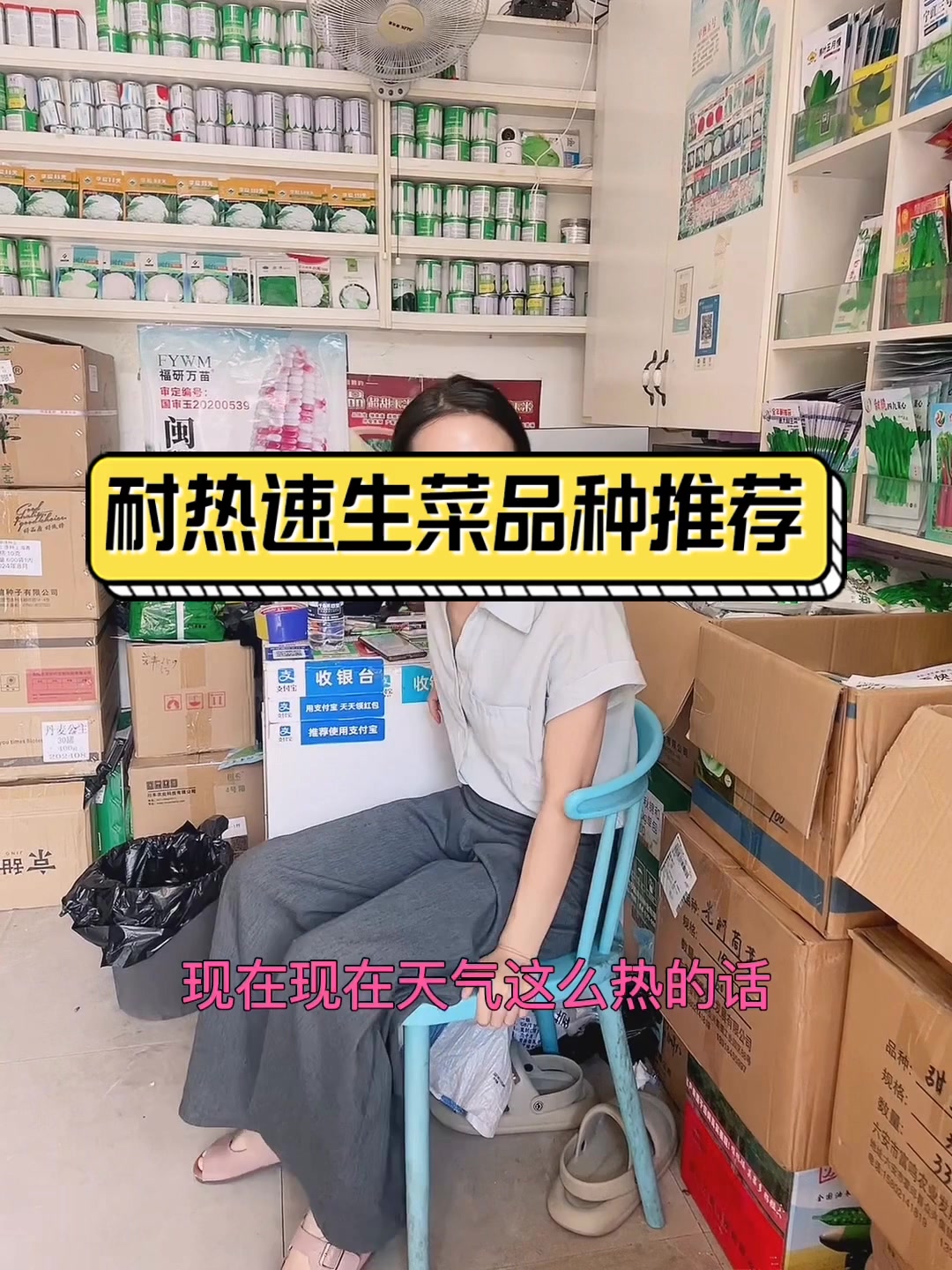 耐热速生菜品种推荐