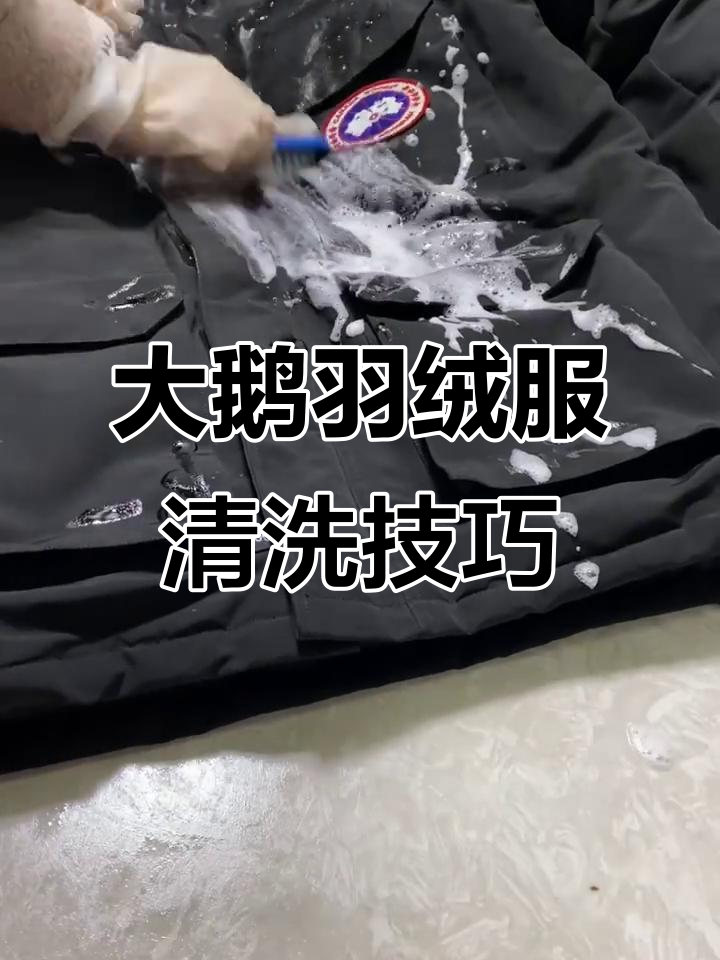 大鹅羽绒服清洗全攻略,轻松去除油渍和污垢
