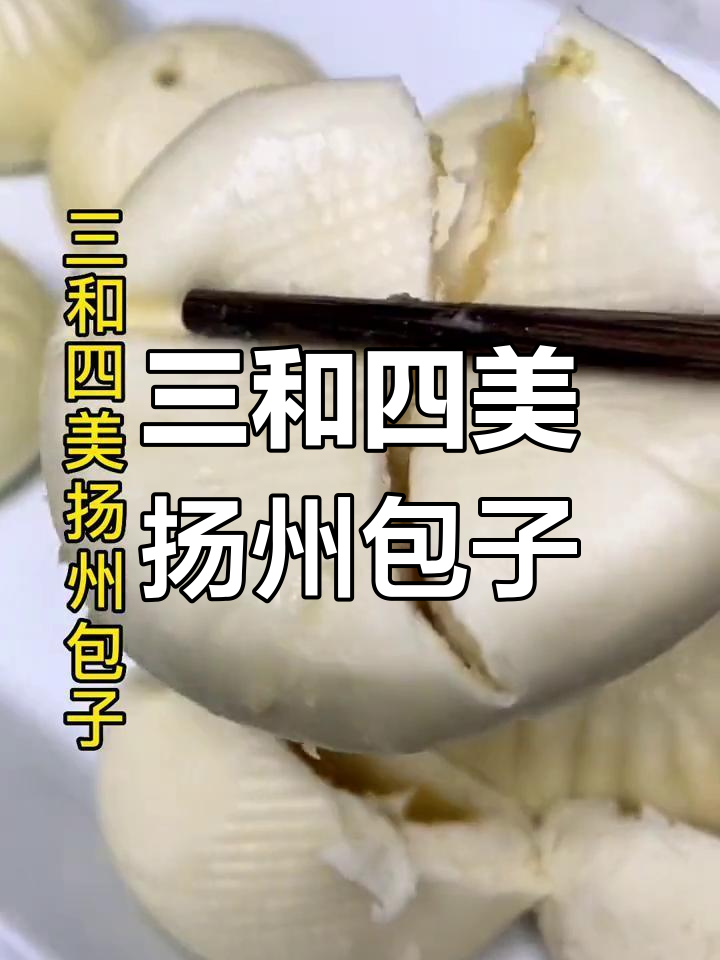 扬州三和四美包子,6袋36个美味素馅
