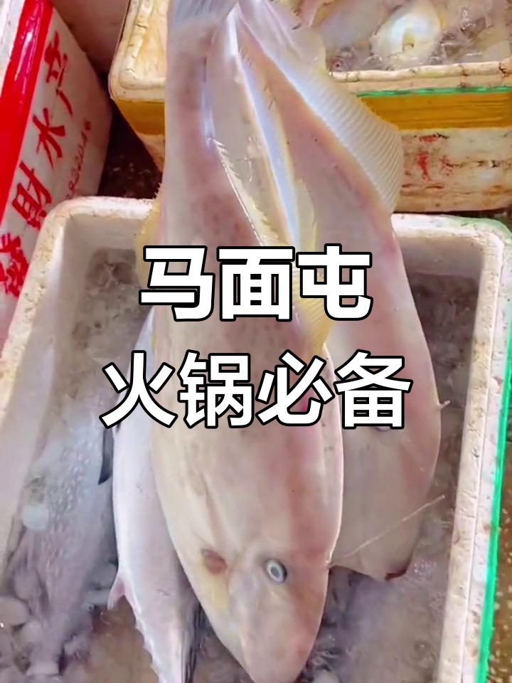 重庆人吃过的“耗儿鱼”竟是这个!