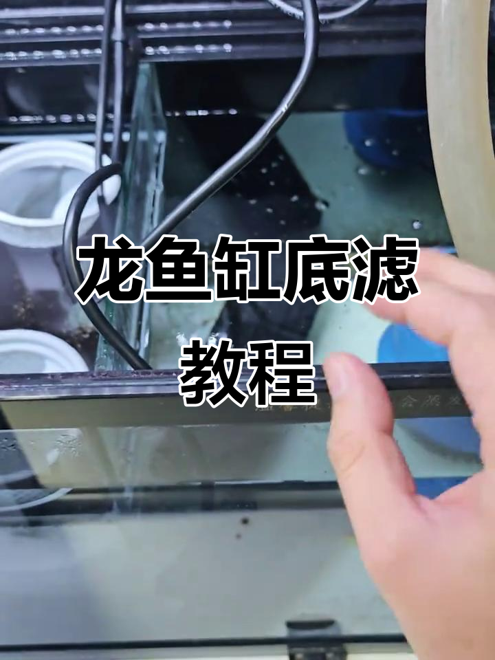 底滤安装全流程,轻松搞定龙鱼缸过滤系统