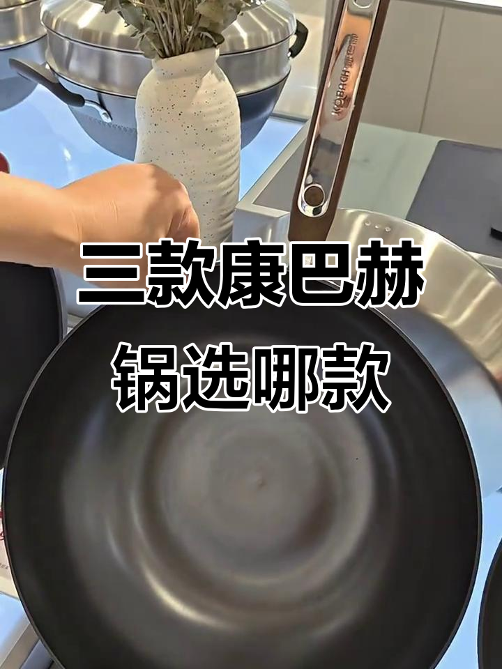 康巴赫锅三款对比，哪种最适合你？