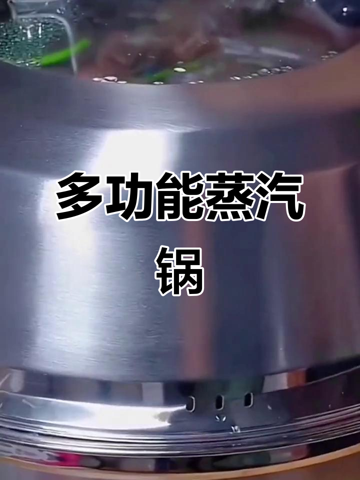 蒸汽火锅,蒸煮两用,大容量家用汤锅