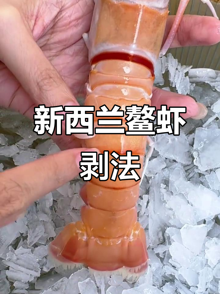 轻松剥新西兰鳌虾，超大号也能搞定！