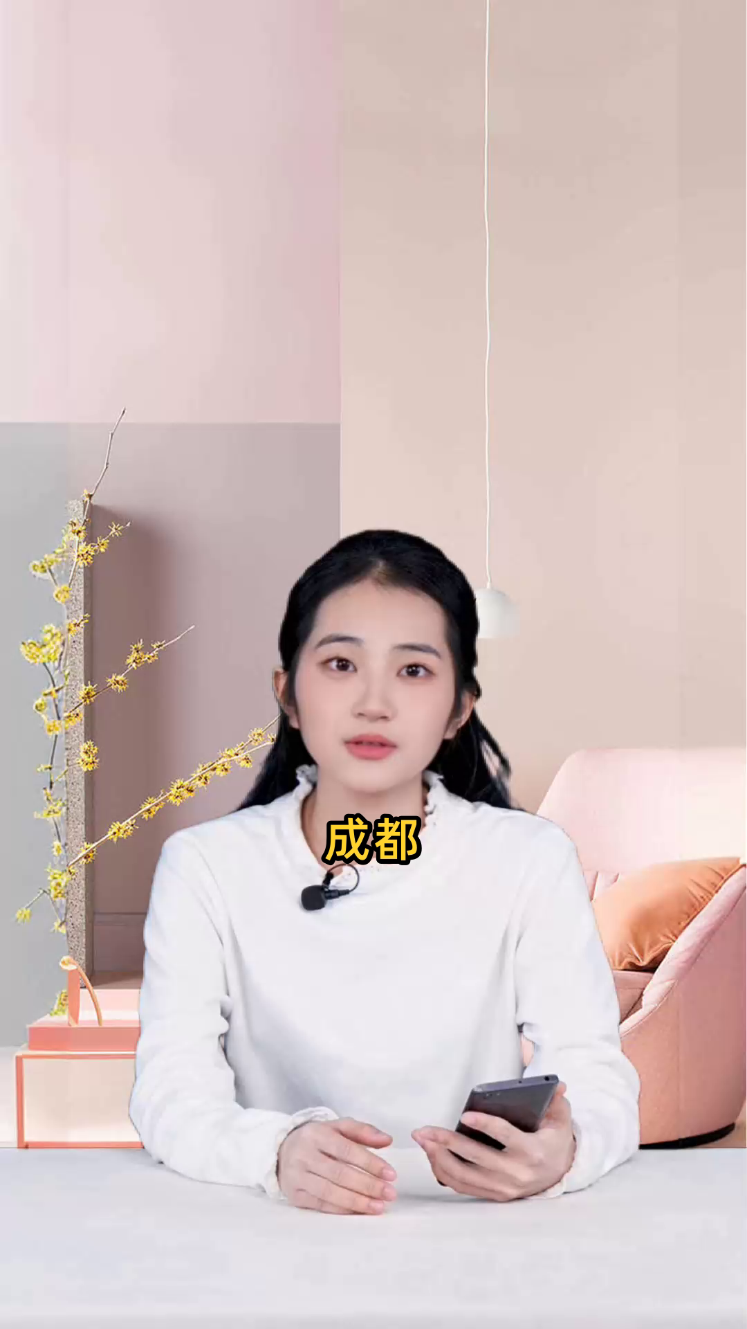 成都 礼物