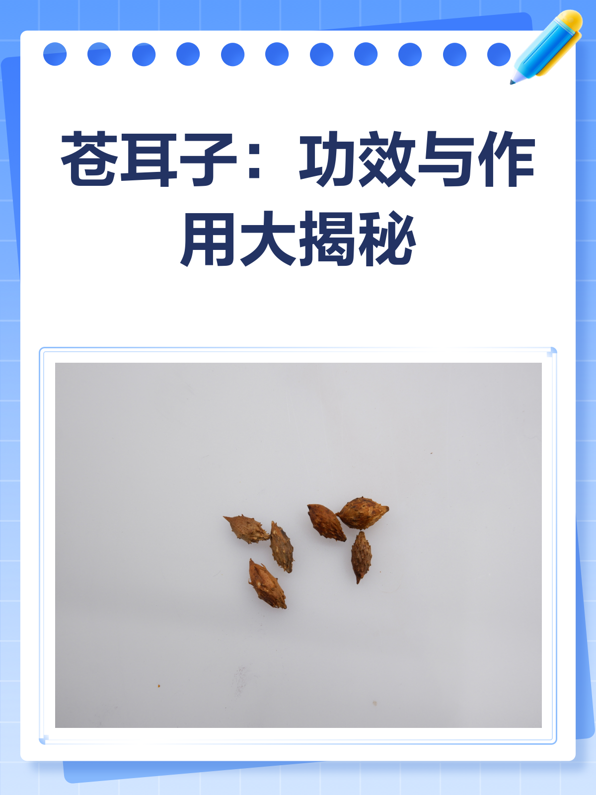 苍耳子：小小一粒，风寒鼻塞都搞定？