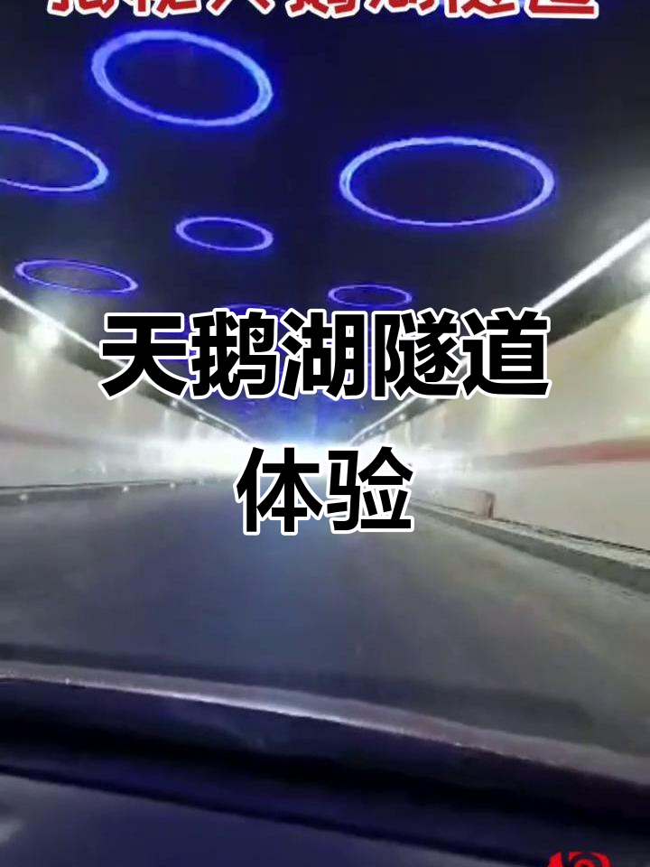 合肥天鹅湖隧道实测:车速与神秘感并存