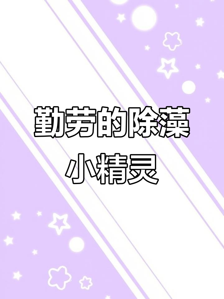 黑线飞狐勤快除藻,却总不见吃藻,反而忙得不亦乐乎!