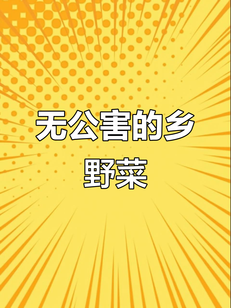 乡村绿色蔬菜,无农药种植的真实生活