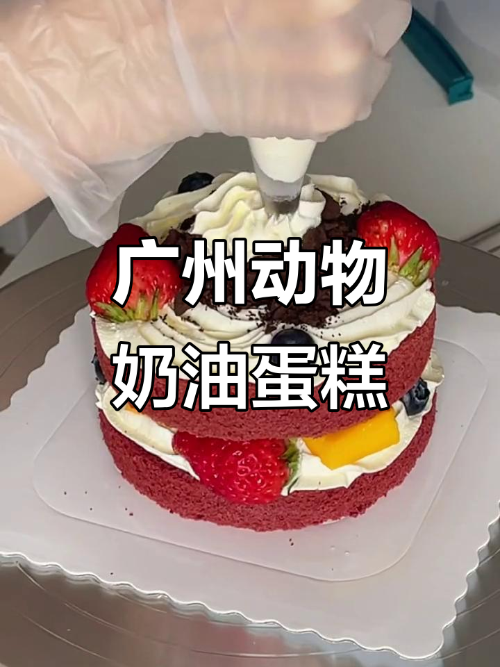 广州最好吃的动物奶油蛋糕,沉浸式做生日惊喜
