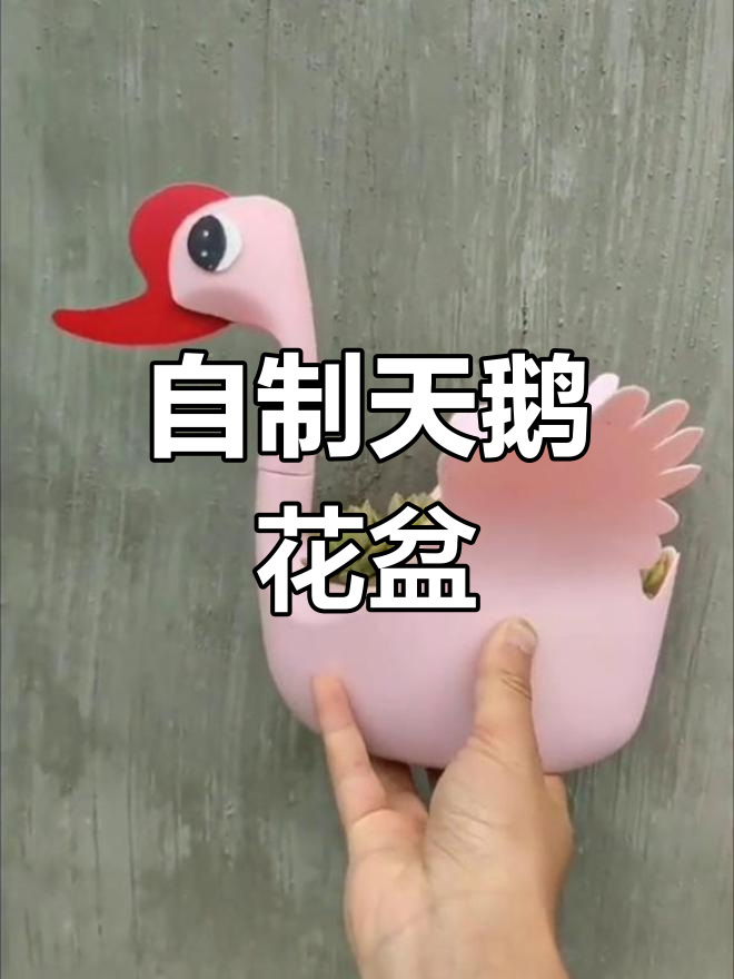 洗衣液瓶子变天鹅花盆,创意废物利用