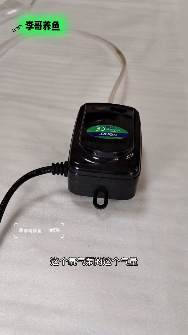 养鱼·鱼缸氧气泵的修复