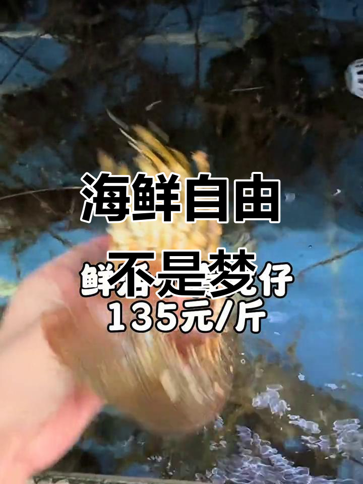 北京海鲜市场价格大揭秘,连海参都能轻松拥有!