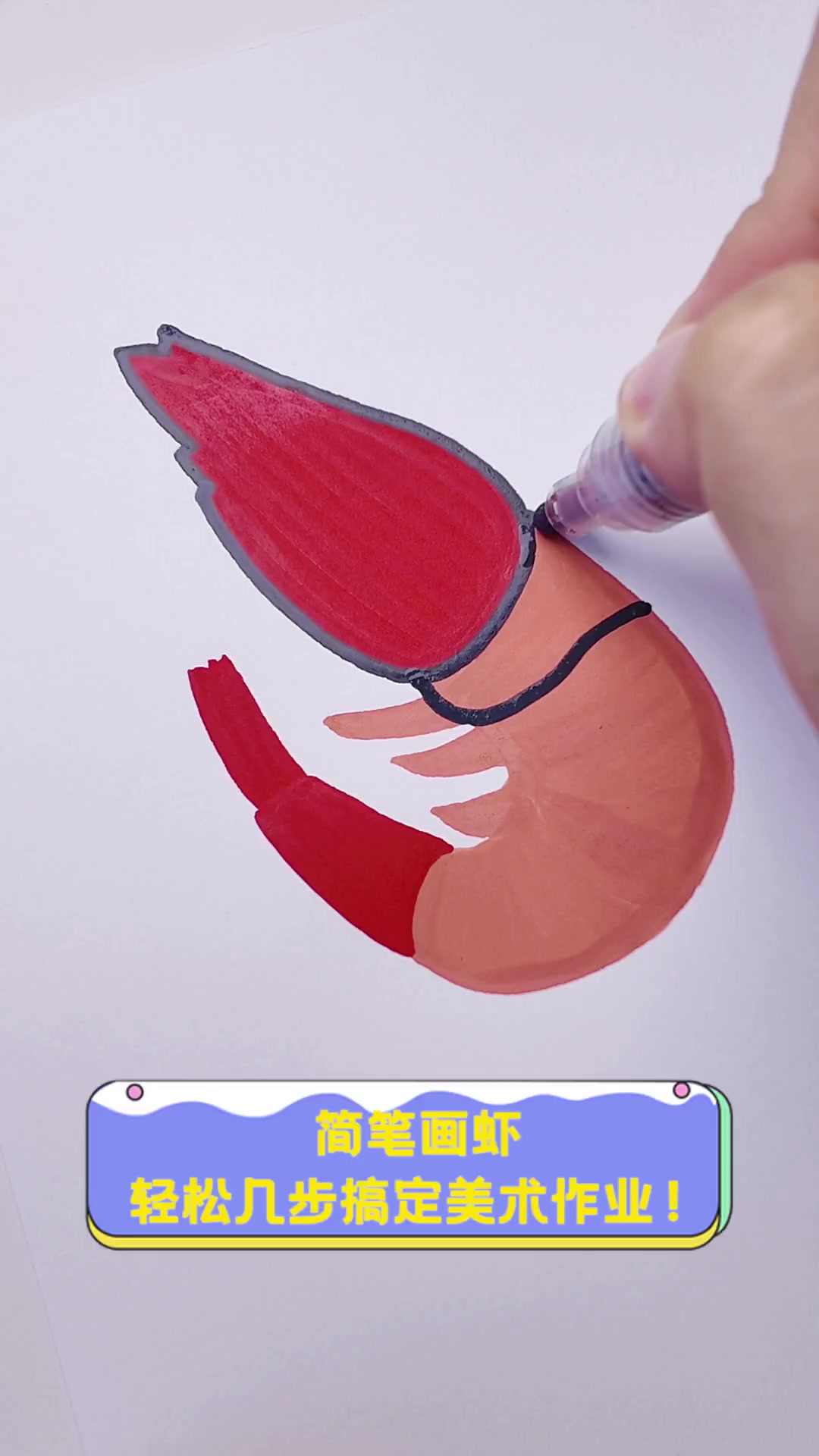 简笔画虾,轻松几步搞定美术作业!