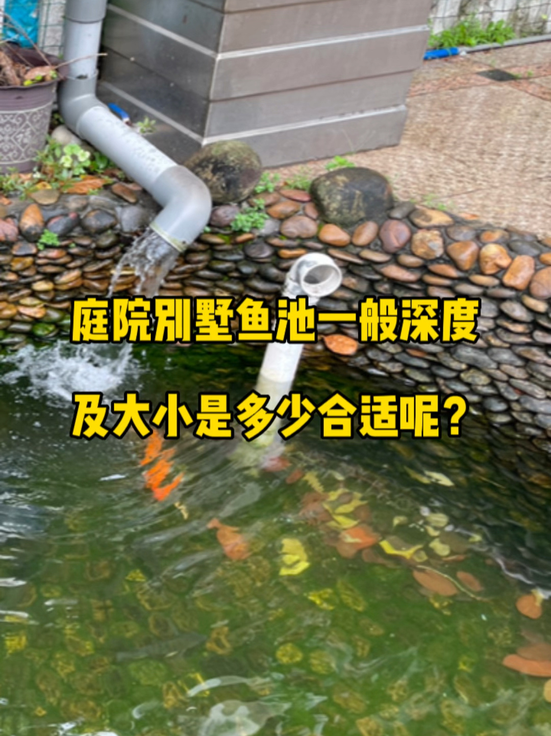 庭院别墅鱼池一般深度及大小是多少合适呢?