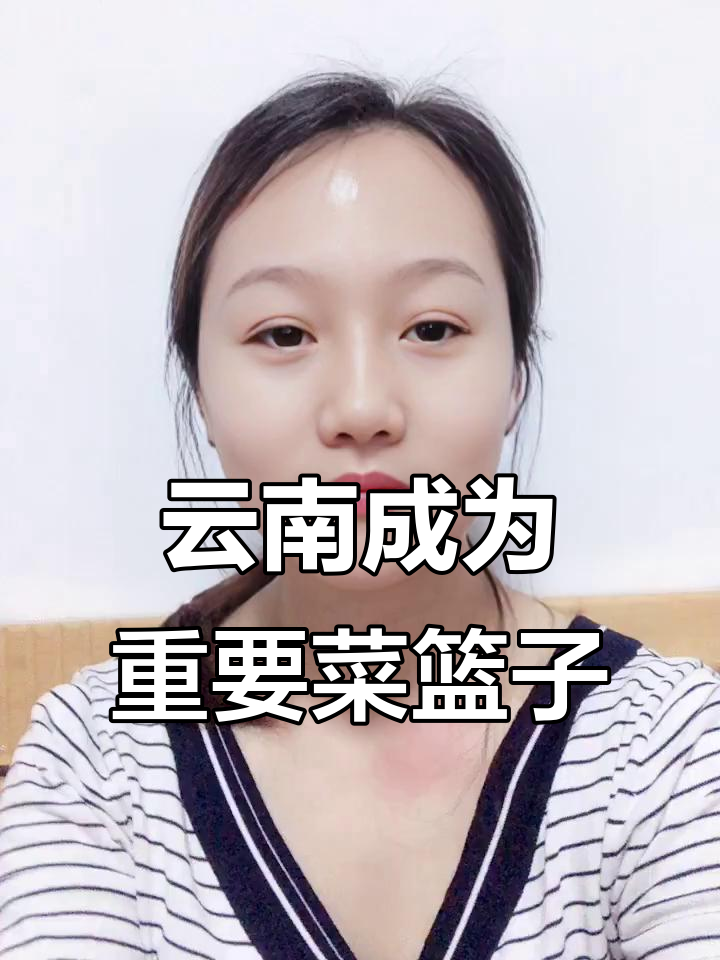 云南如何打造全国“菜篮子”?政策助力蔬菜产业崛起