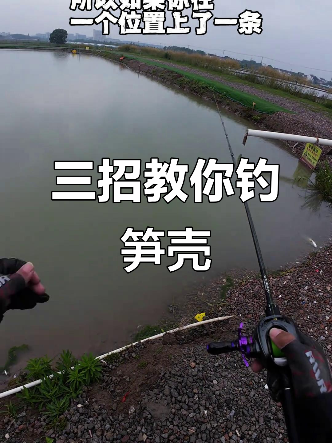 轻松钓笋壳鱼，三步搞定！