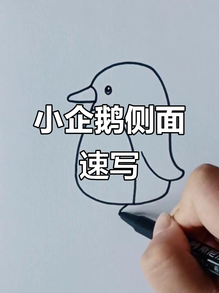 超级简单小企鹅画法,轻松学会!