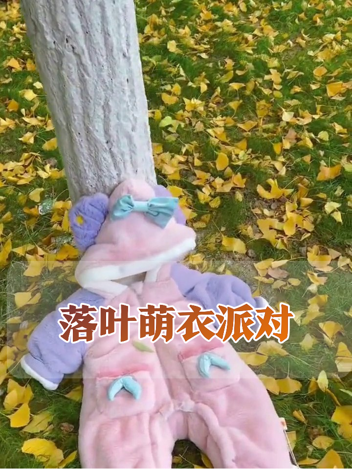 落叶草坪惊现卡通萌衣派对,小熊小兔集体卖萌啦