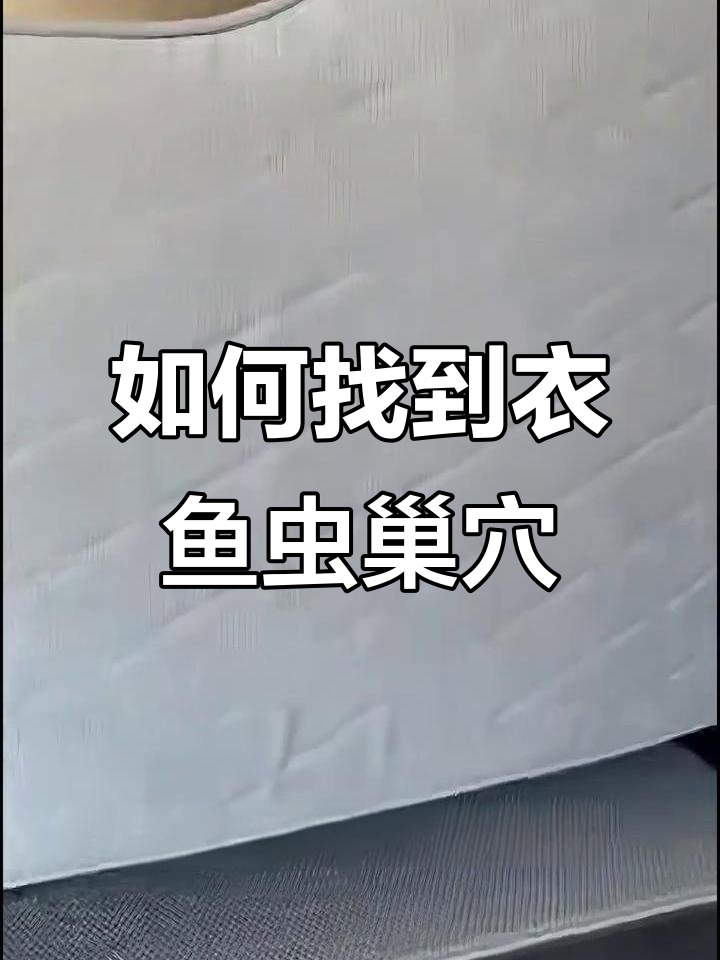 衣鱼虫藏匿的窝点大揭秘,彻底清除有妙招