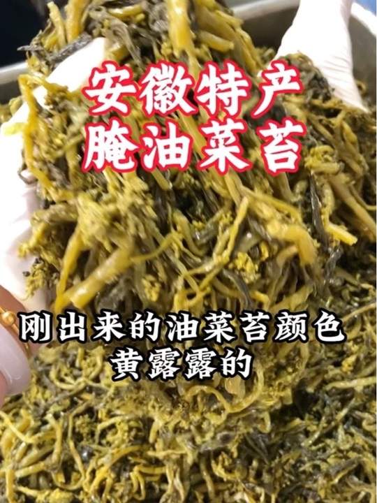马鞍山当涂黄池镇腌油菜苔新开缸了