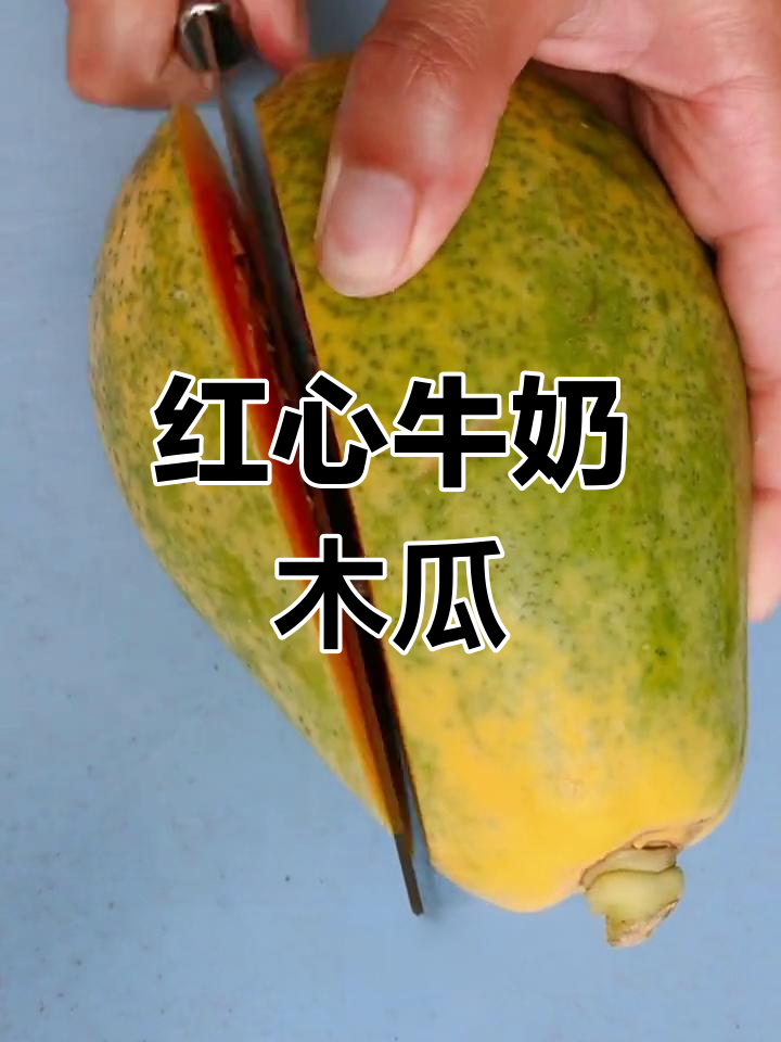 海南特色木瓜炖,冰糖雪梨红枣银耳