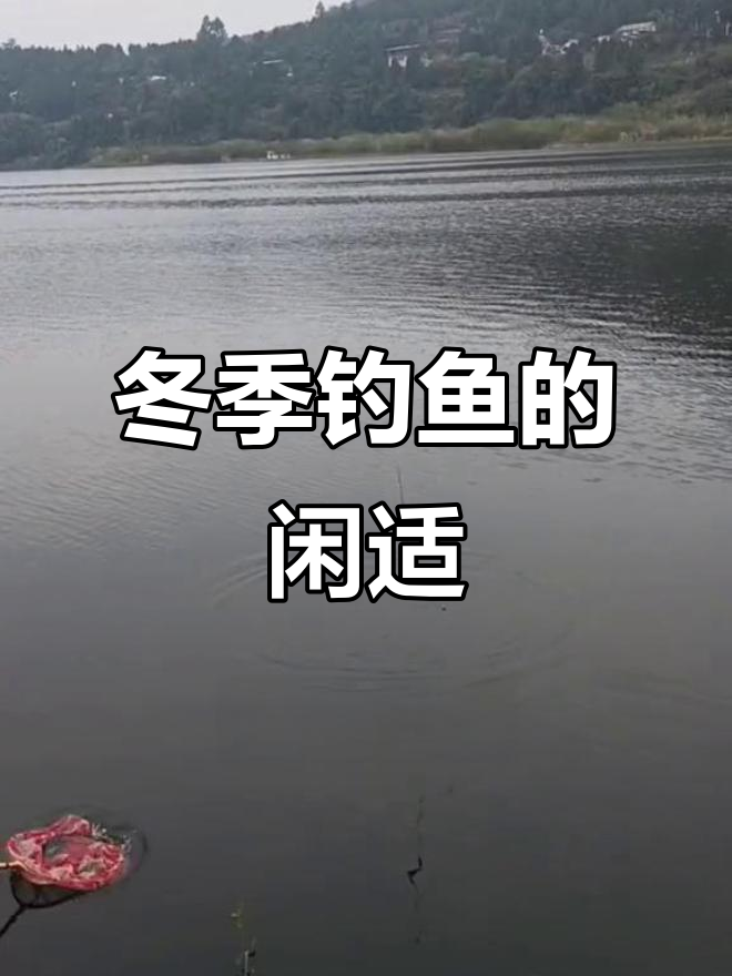 冬日垂钓,悠闲自在,心境如水般宁静