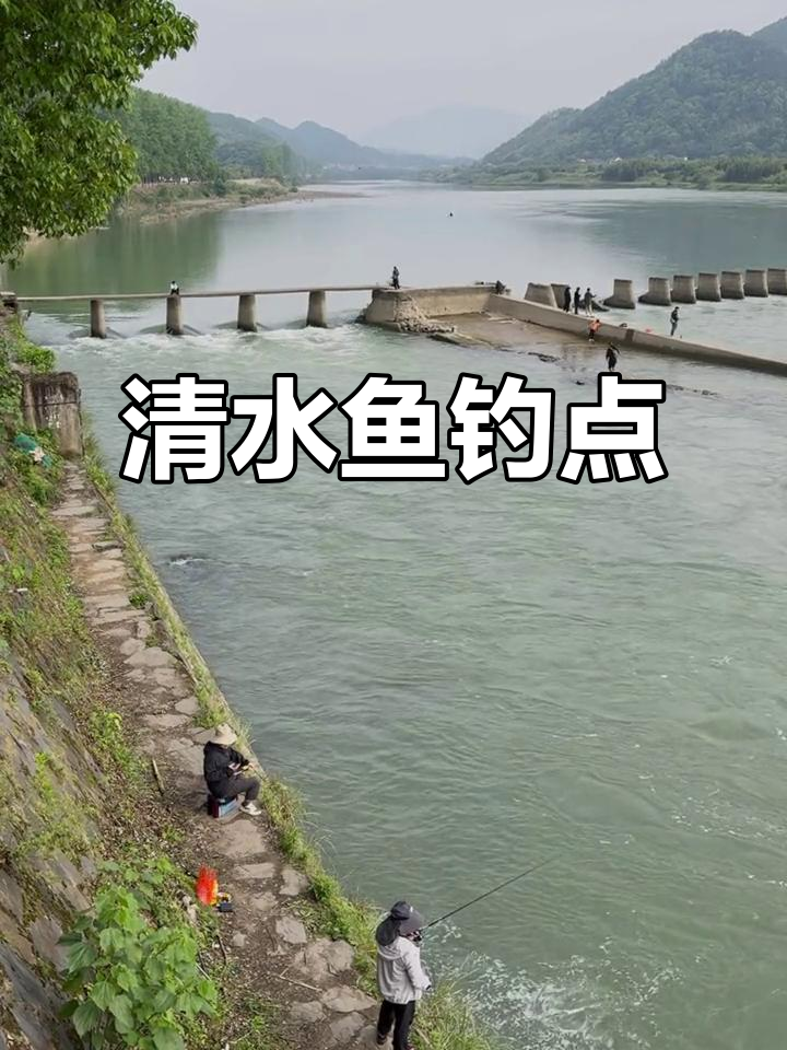 富春江上游的钓鱼天堂,清水鱼与美景相伴