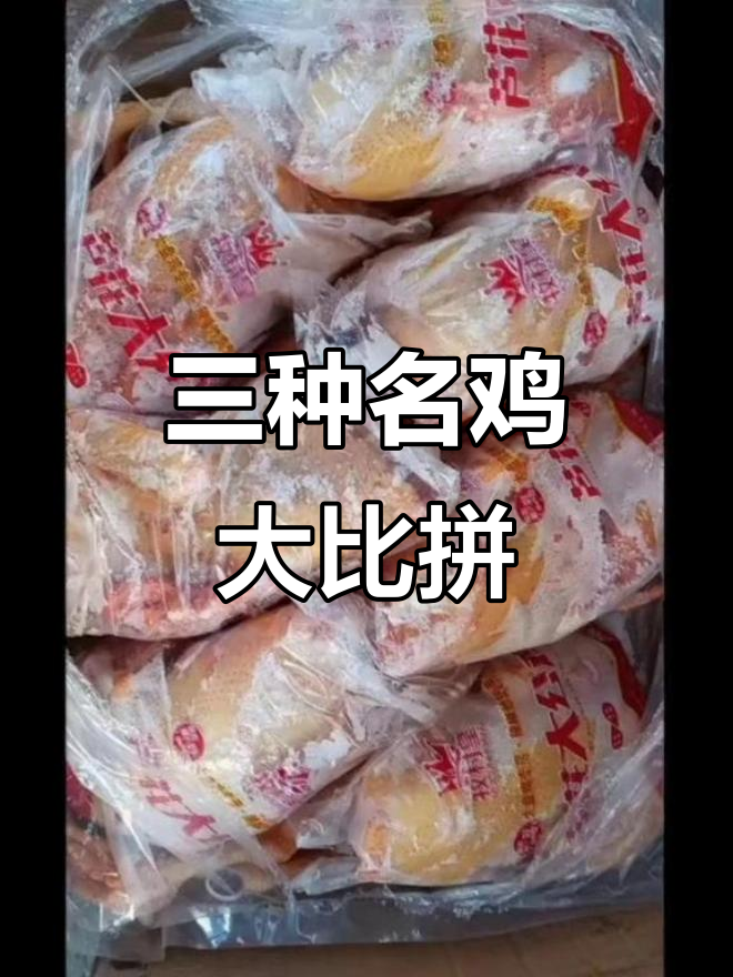 清远鸡、泰山大公鸡与芦花大公鸡,三黄鸡肉质鲜美