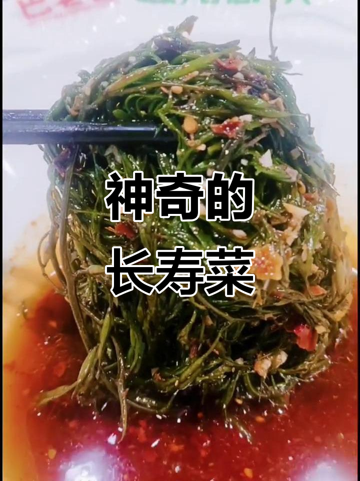 你尝过像鞭炮一样的长寿菜吗?海藻类美味新发现