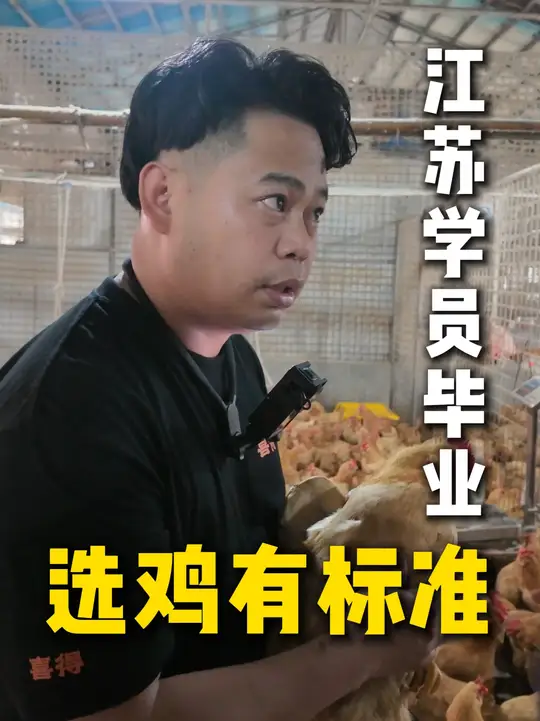这可能是全网最全面的烧腊选鸡讲解，自己十几年的卖鸡经验，毫无保留！