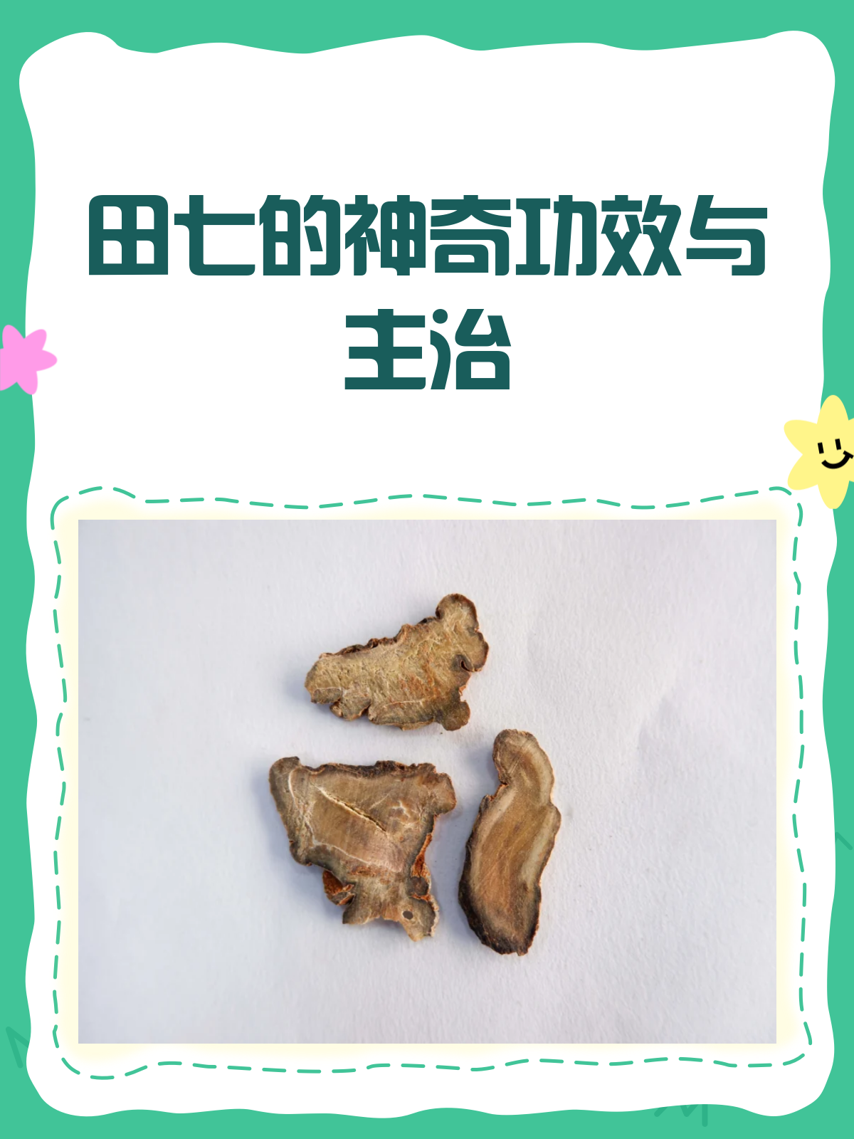 田七,你真的了解它的功效与作用吗?