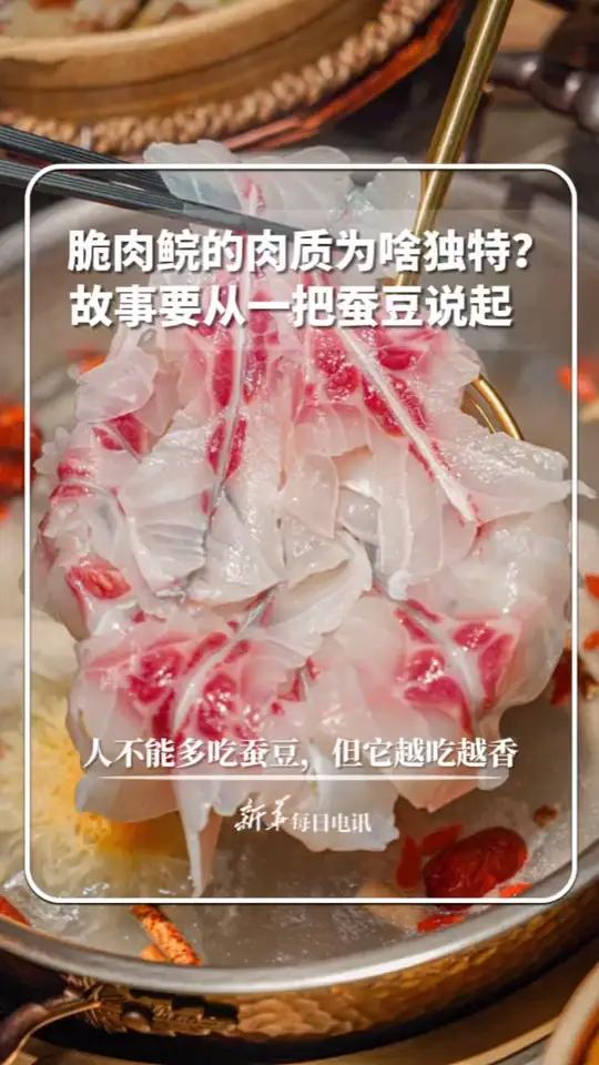 脆肉鲩的肉质为啥独特?故事要从一把蚕豆说起……