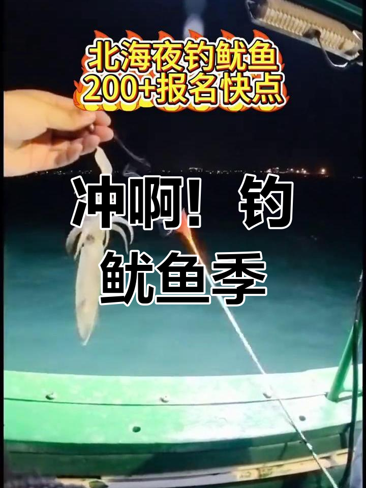北海钓鱿鱼季节来临,灯光诱捕大作战
