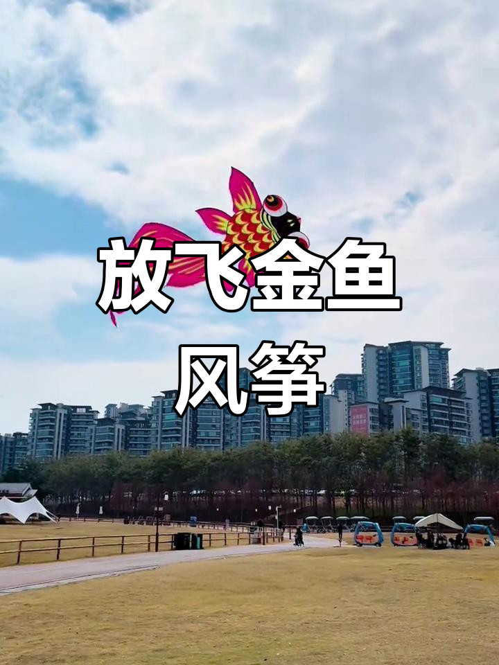 春日金鱼风筝飞舞,青山绿水映照梦想