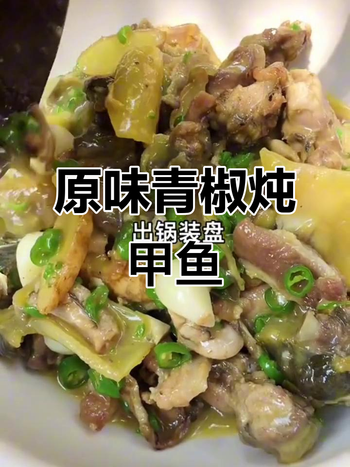 青椒焖甲鱼,满满胶原蛋白,汤汁鲜美无比