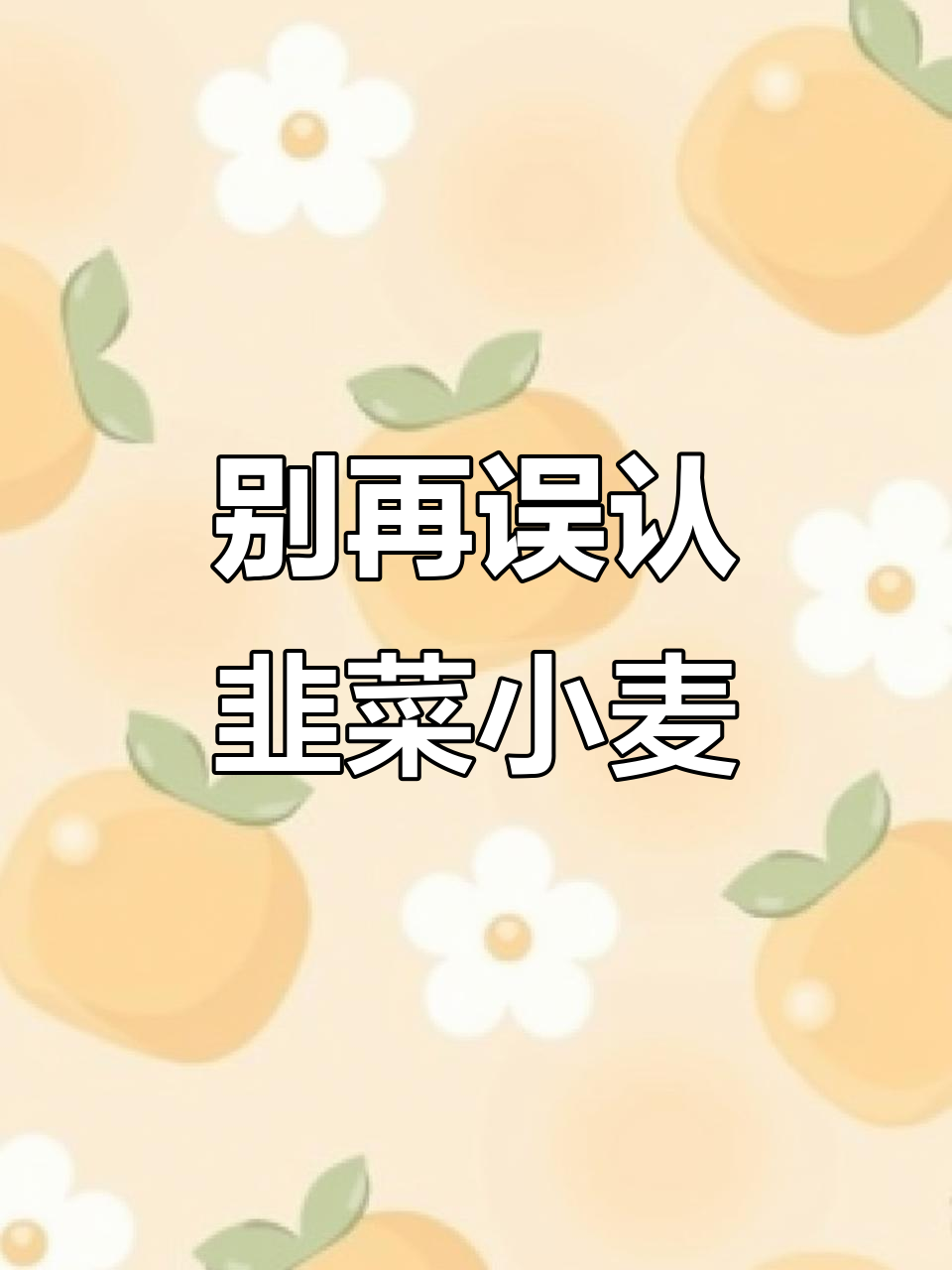 韭菜和小麦别再傻傻分不清,认清楚了才能避免尴尬