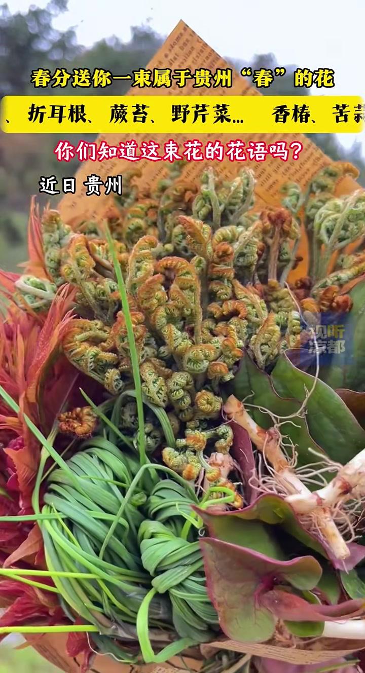 春分送你一束属于贵州“春”的花!你们知道这束花的花语吗?香椿、苦蒜、折耳根、蕨苔、野芹菜…