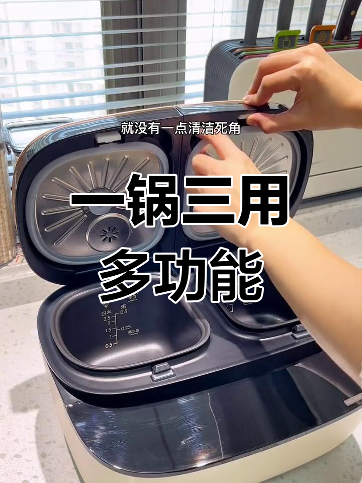 双胆电饭煲的强大功能,一锅多能