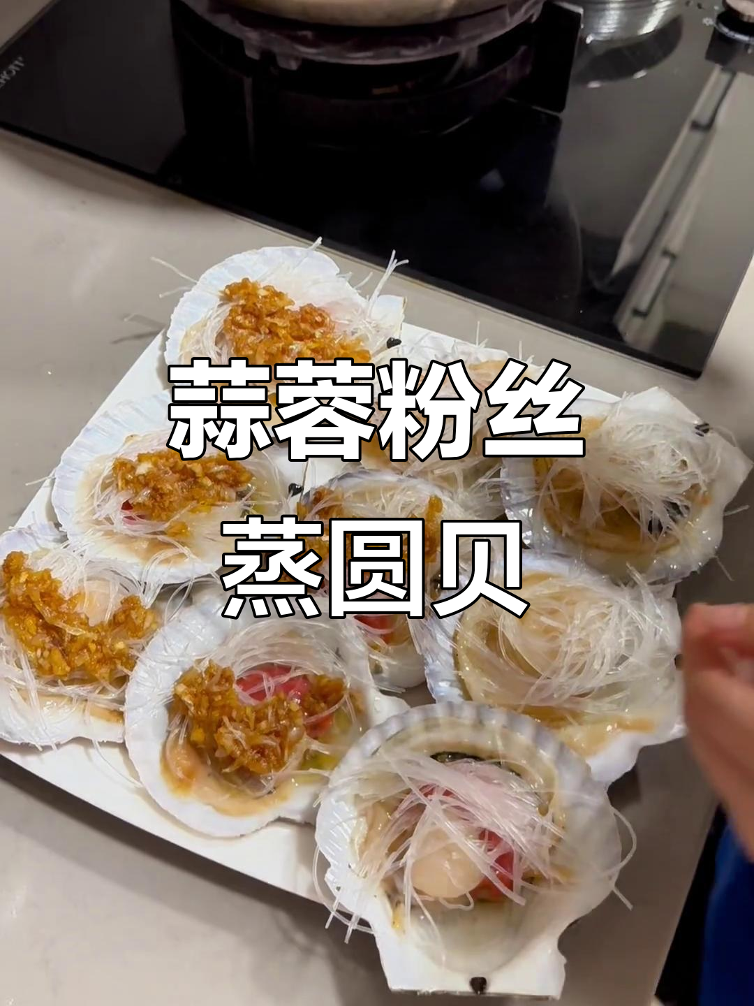 蒜蓉粉丝蒸元贝,鲜香四溢的完美搭配