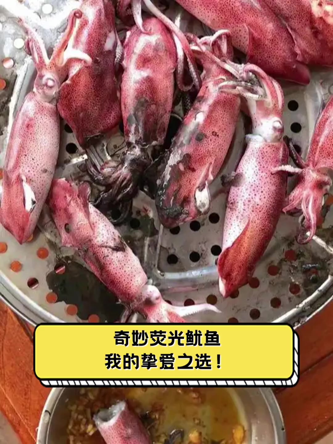 奇妙荧光鱿鱼,我的挚爱之选!