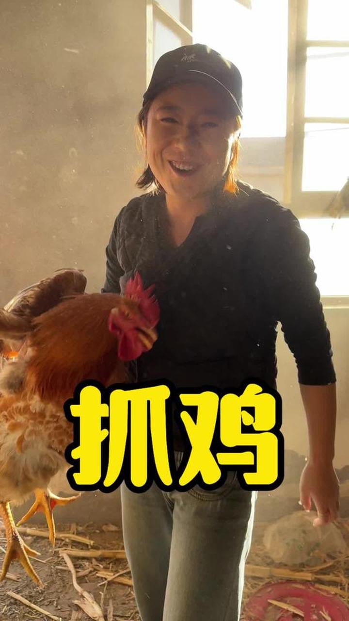 鸡飞狗跳的日子里,把生活过成最生动的诗