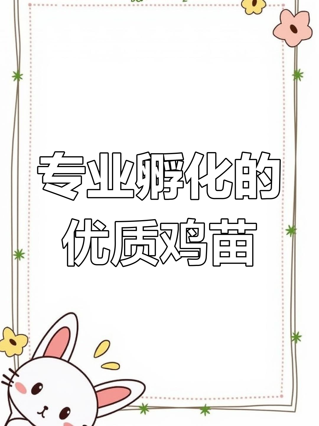 专业孵化的优质鸡苗